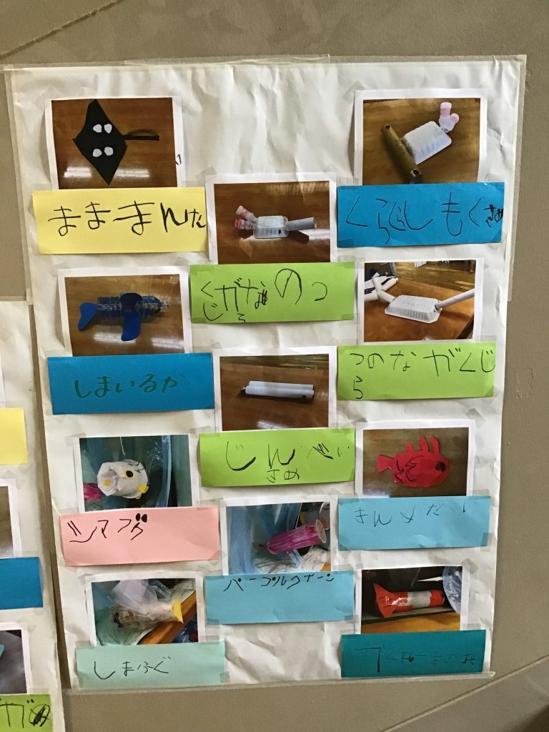 海の生き物ブームが来ています。