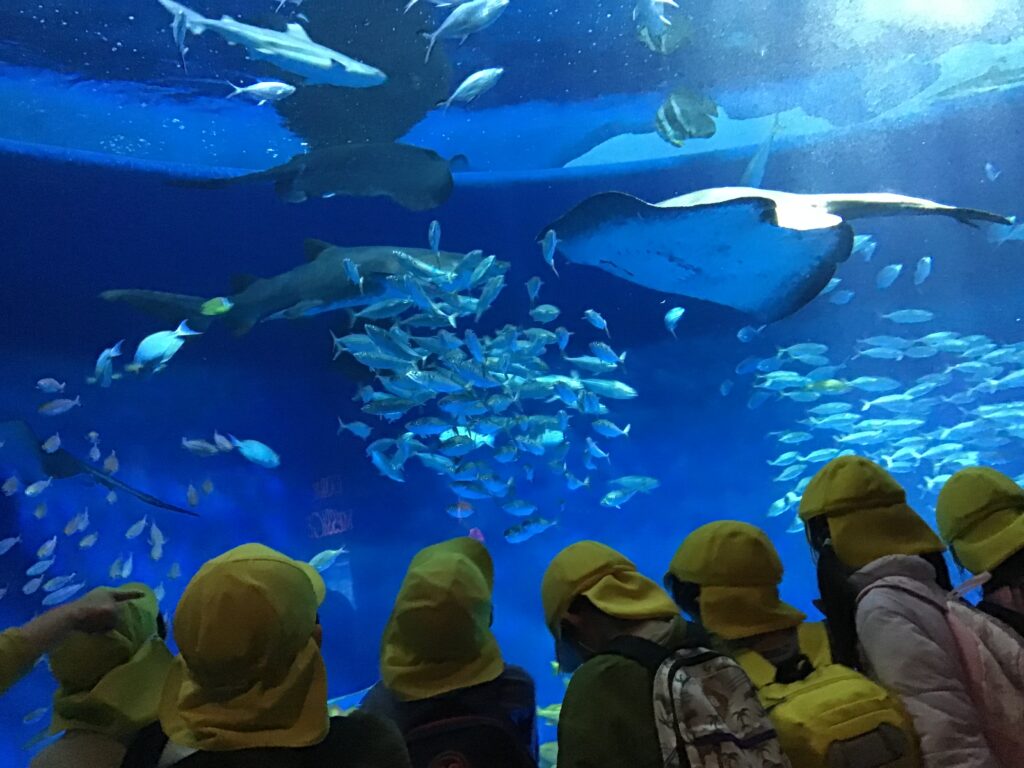 きりん組が遠足へ行きました。