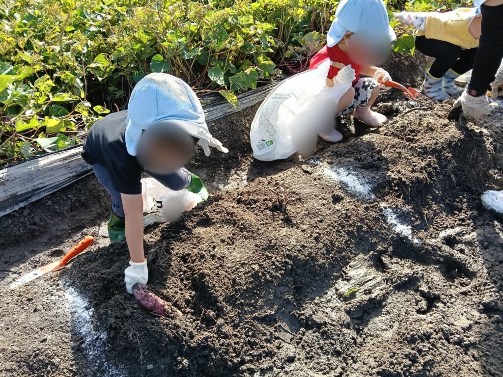遠足に行きました